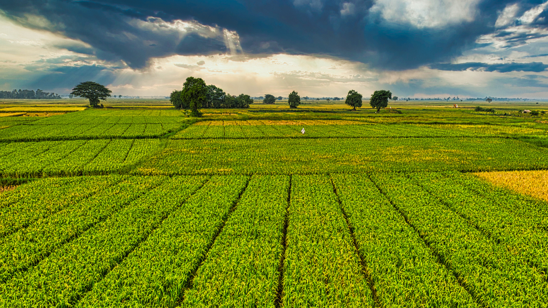 Participez aux consultations européennes sur le climat et la durabilité