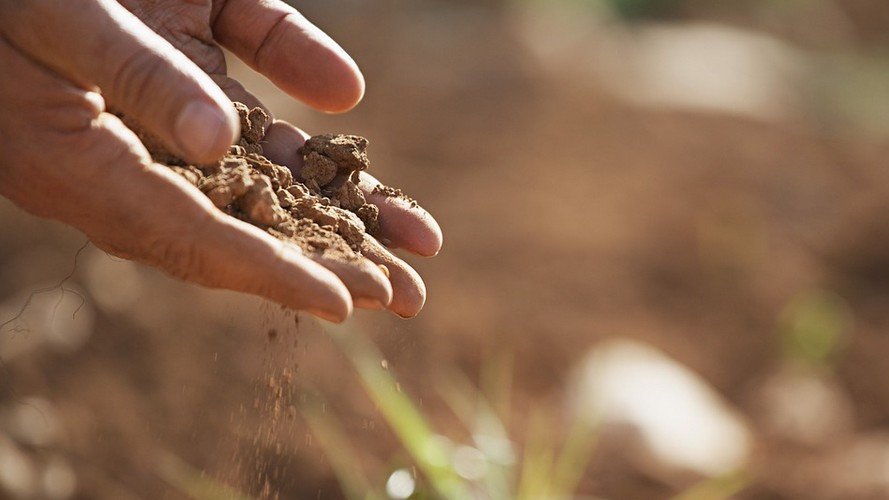Hungry Planet – Gentechnik ade ?! Ein anderer Code of Survival ist möglich