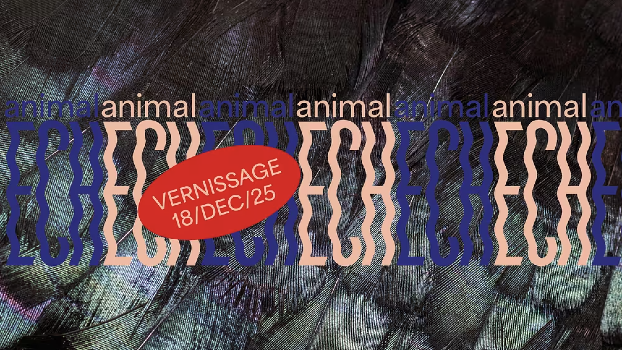La nouvelle exposition temporaire animalECH