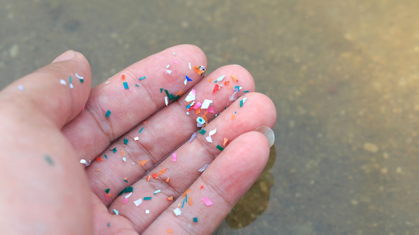 EndPlasticSoup Luxembourg veut rendre l'invisible visible