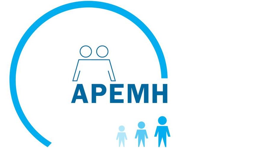 « Handicap intellectuel et Entrepreneuriat : quelles possibilités, quelle méthodologie pour l'incubation des idées ? »