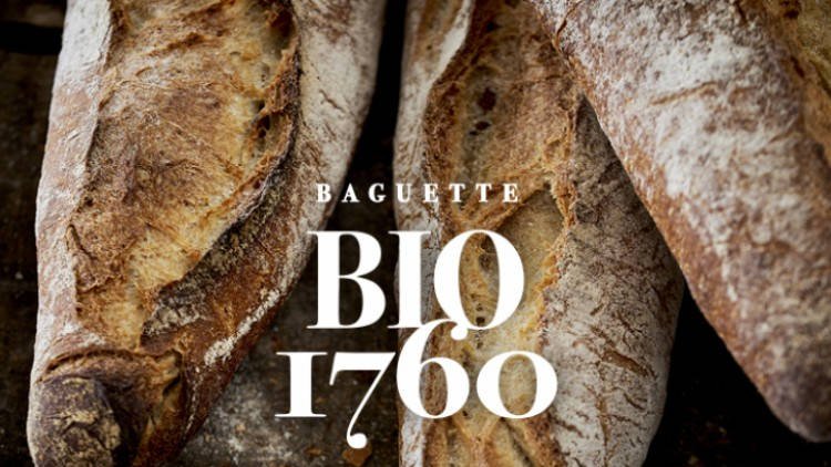 Cactus présente la baguette bio ‘'1760''