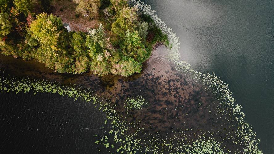 Ecostress : le lancement de 30 téraoctets de données sur les écosystèmes