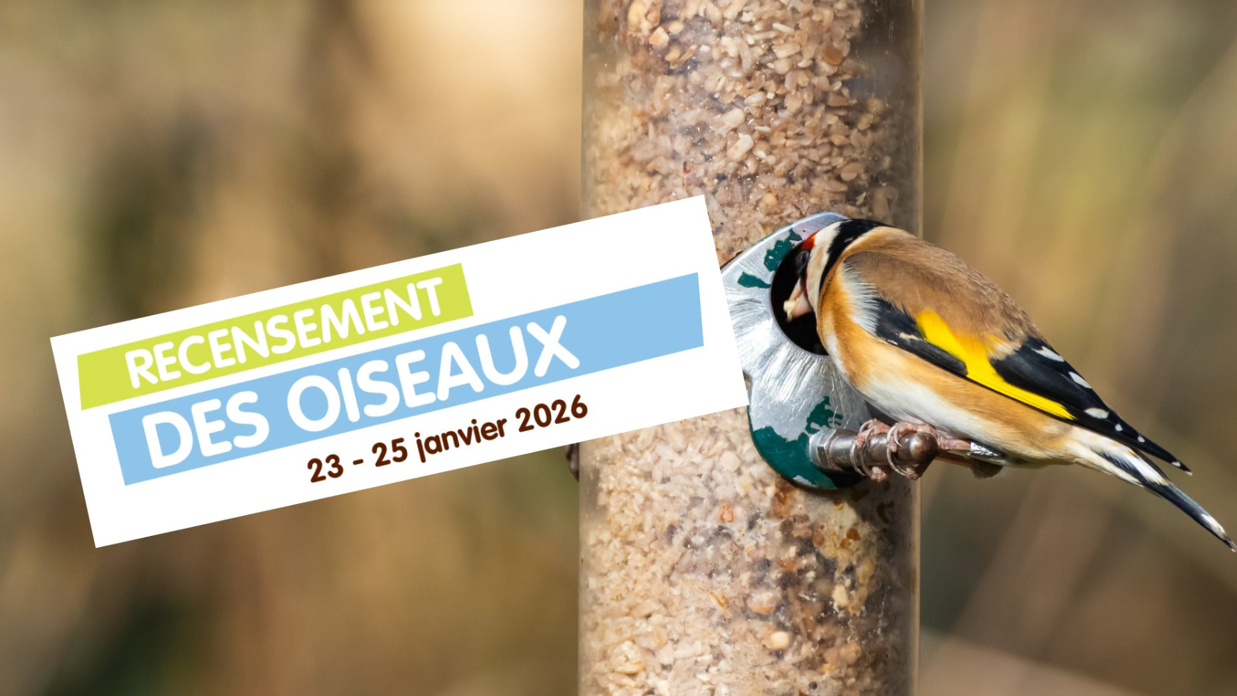 Wantervullenzielung - Recensement des oiseaux 2026 - natur&ëmwelt