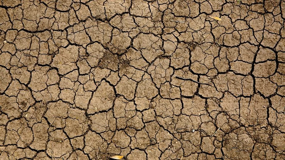 Face au dérèglement climatique, agissons ensemble !
