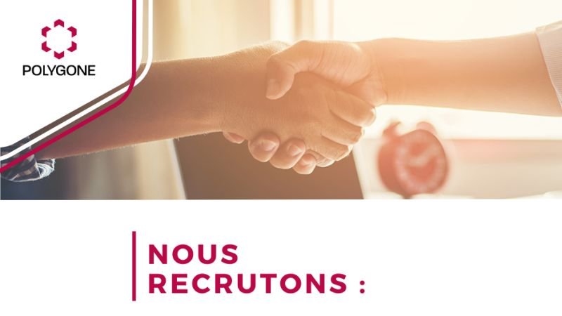 Project Manager Senior (h/f) / Polygone