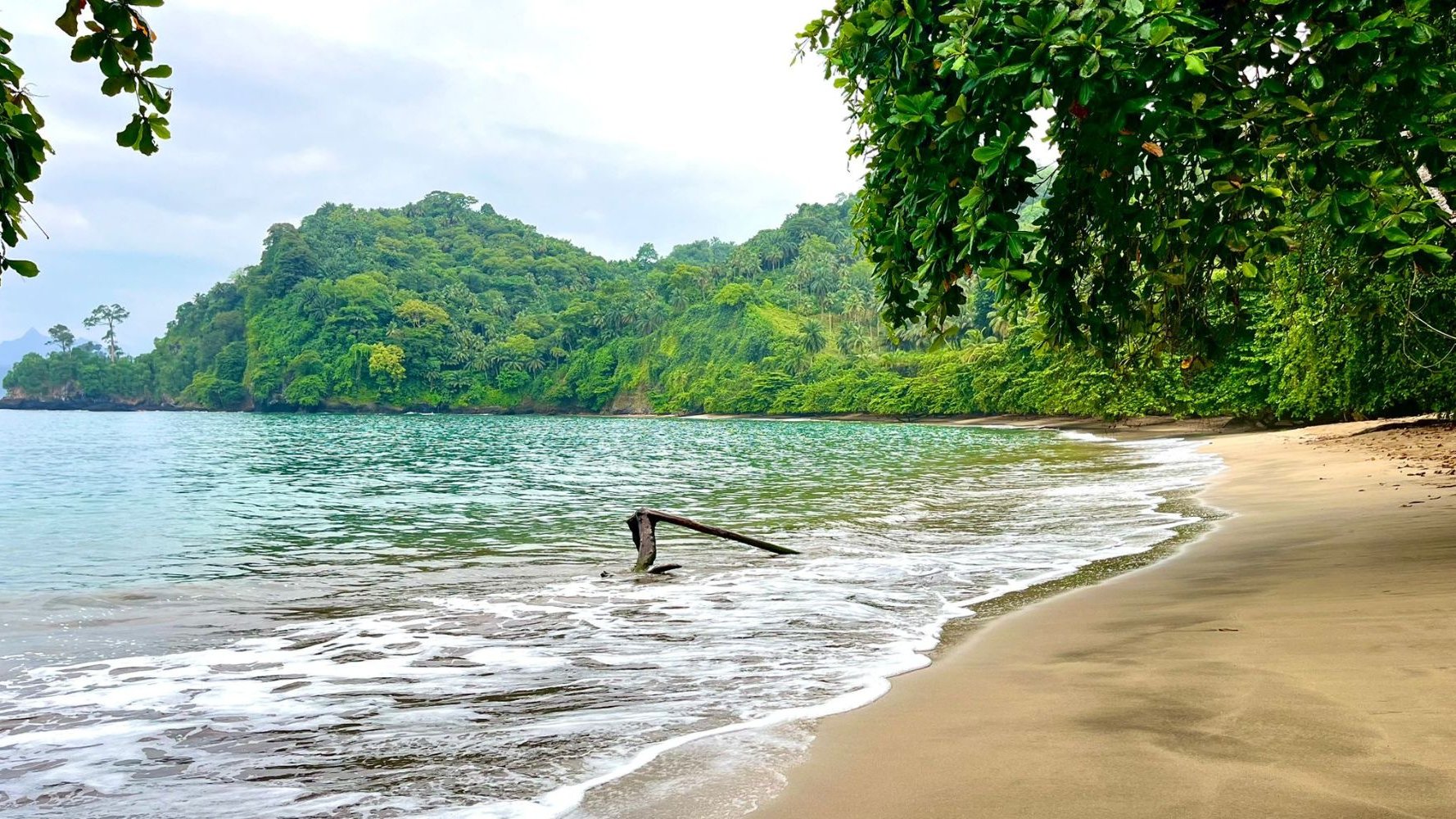 Un fonds pour préserver la biodiversité de São Tomé-et-Príncipe