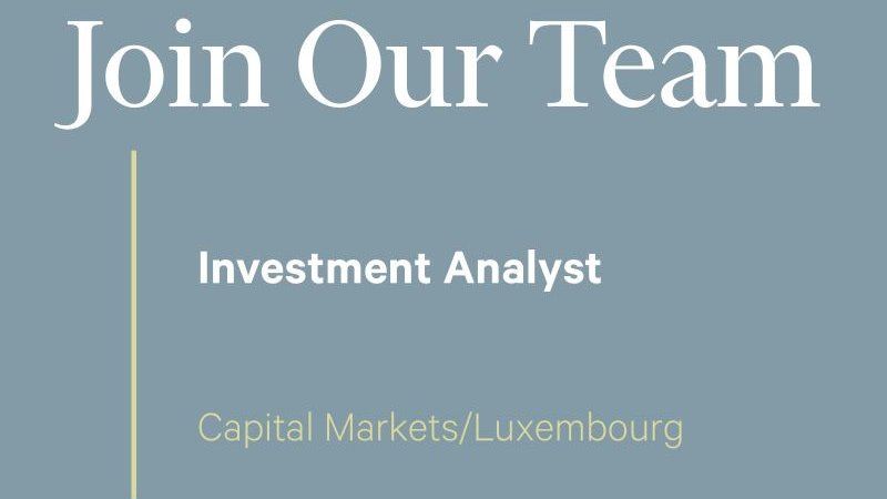 Investment Analyst (Capital Markets) (M/F)