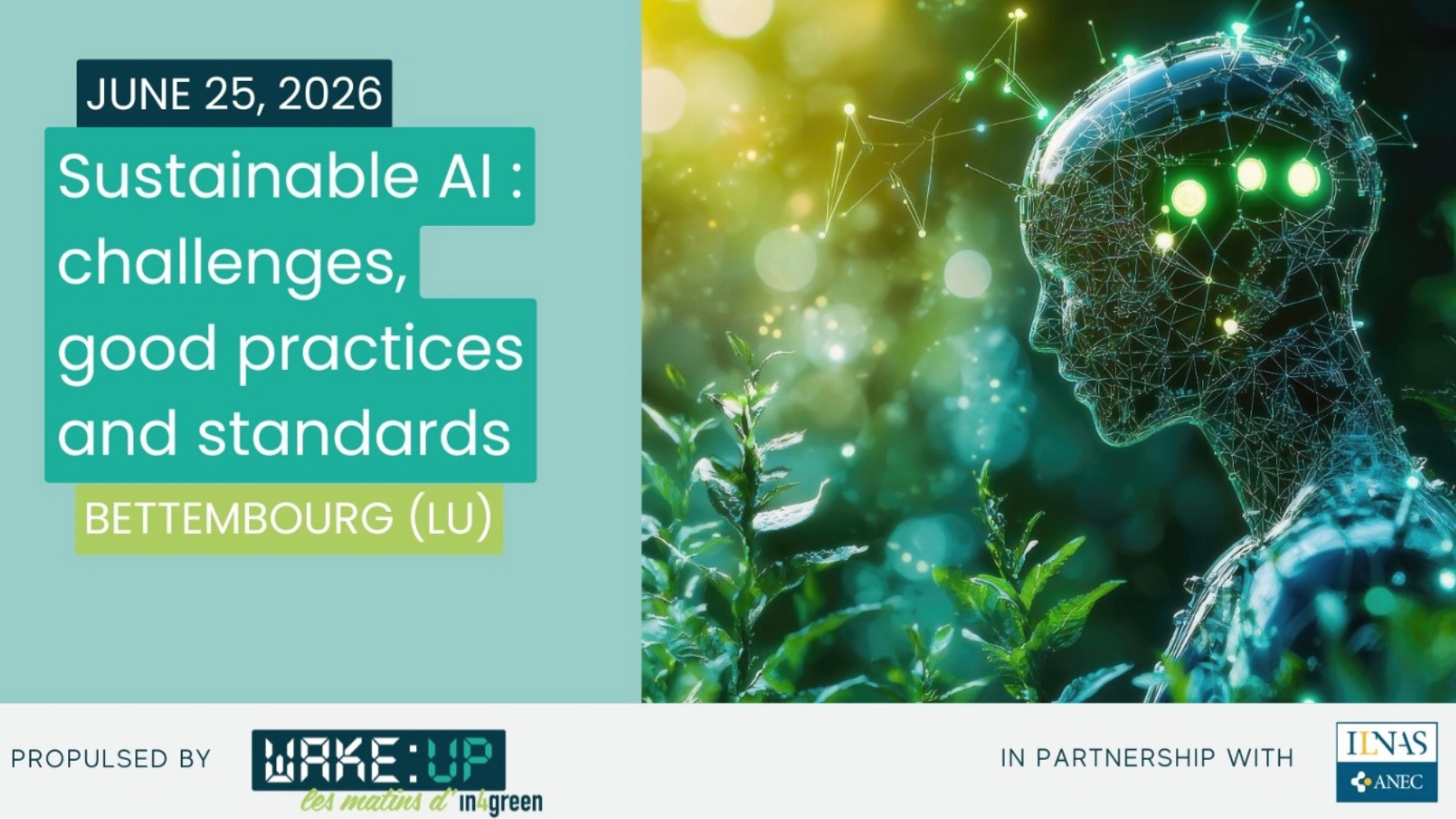 Sustainable AI : challenges, good practices and standards
