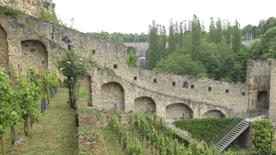 Visites guidées au « Klouschtergaart » : 10 août et 14 septembre 2017