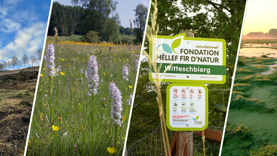 Fondation Hëllef fir d'Natur nouveau partenaire In4Green !