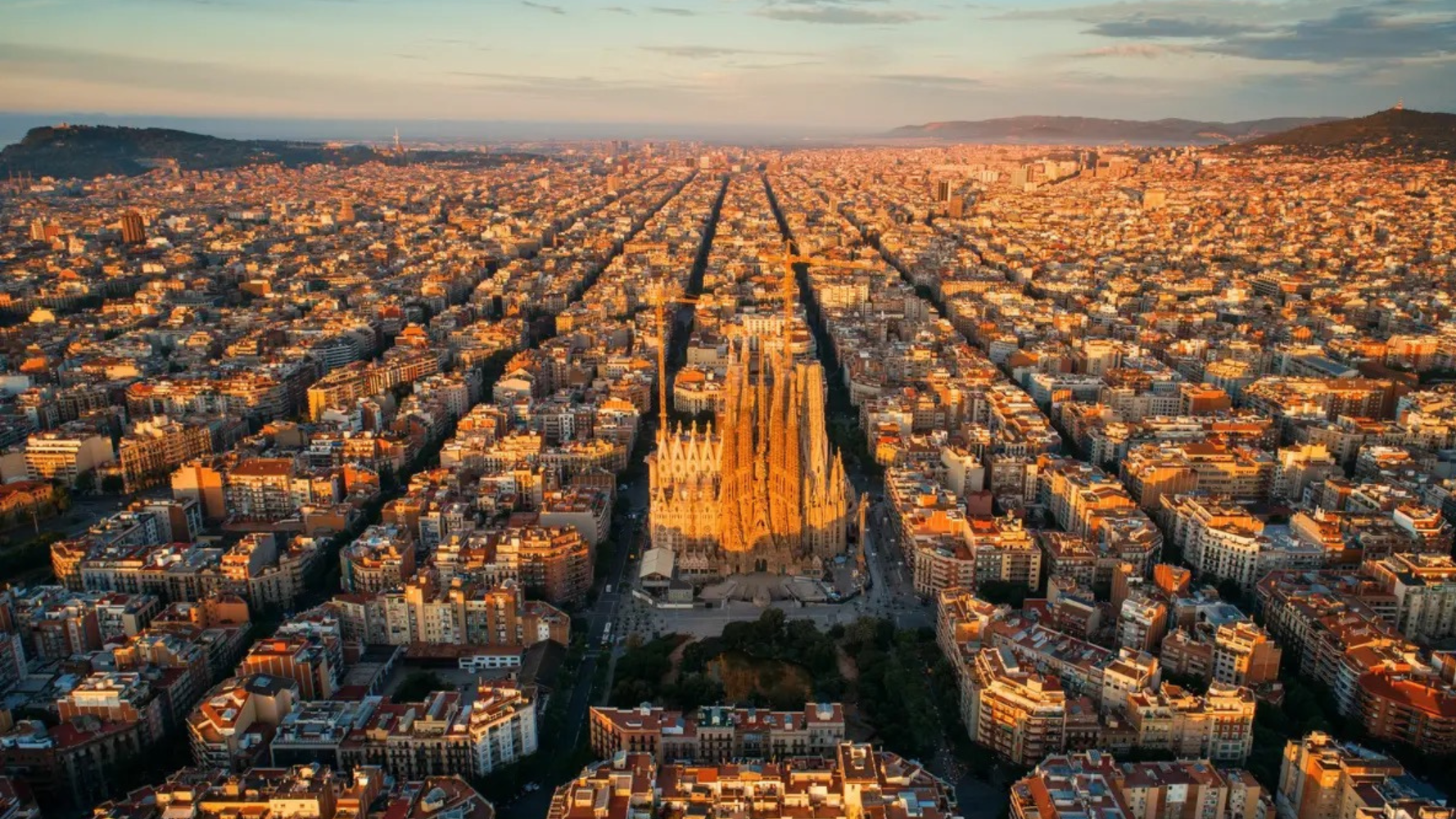 European Investor Intentions Survey 2026