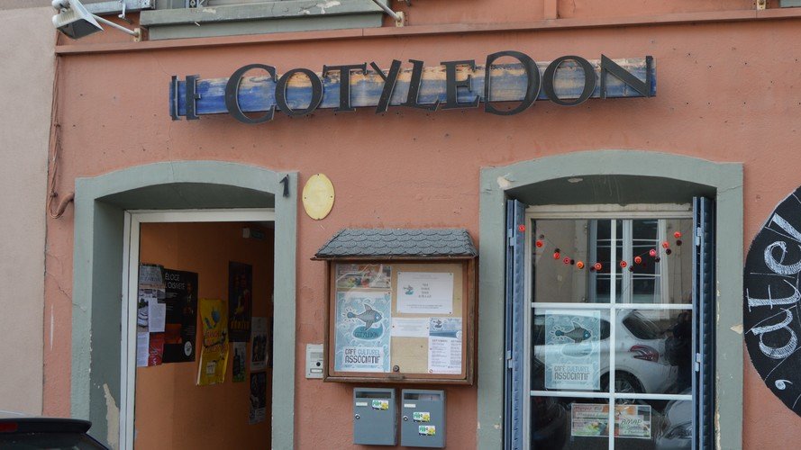 LE COTYLÉDON, une graine germée bio !