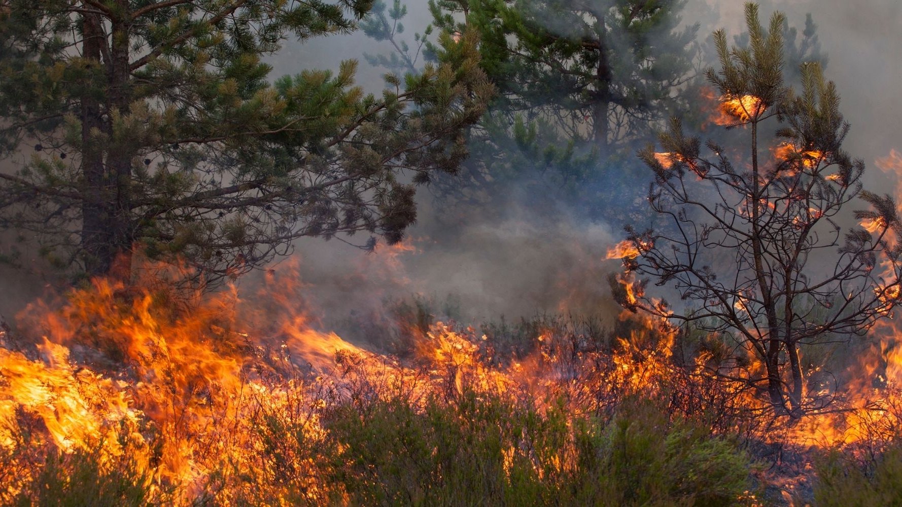 WMO bulletin shows air quality and climate interlinkages