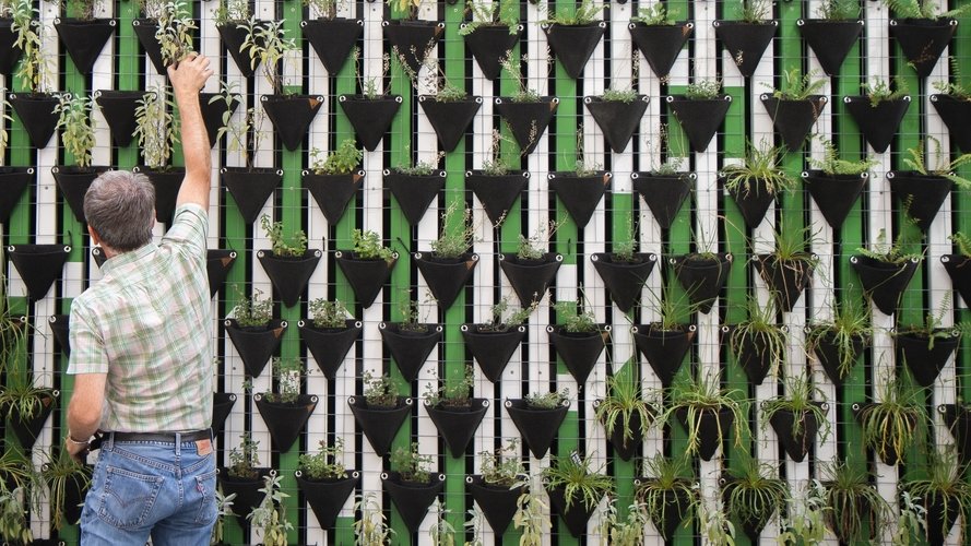 Corporate gardens : quand la nature s'invite en entreprise