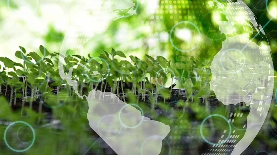 Application of the EU Ecolabel to retail financial products : is the market ready ?