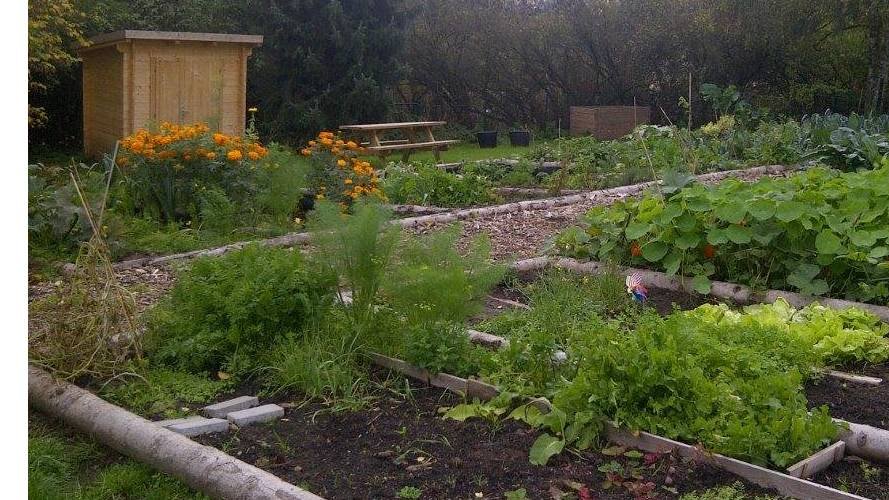 Participez à un jardin communautaire