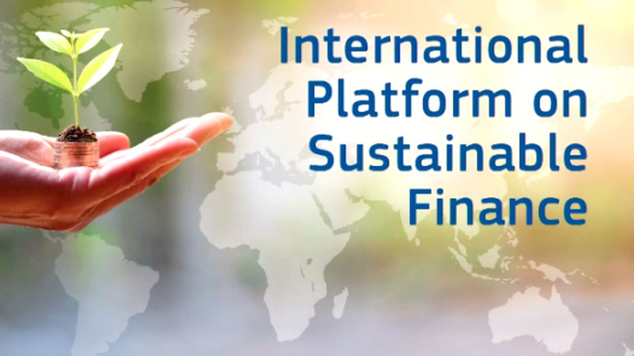 Call for participation : Platform on sustainable finance - SME SURVEY