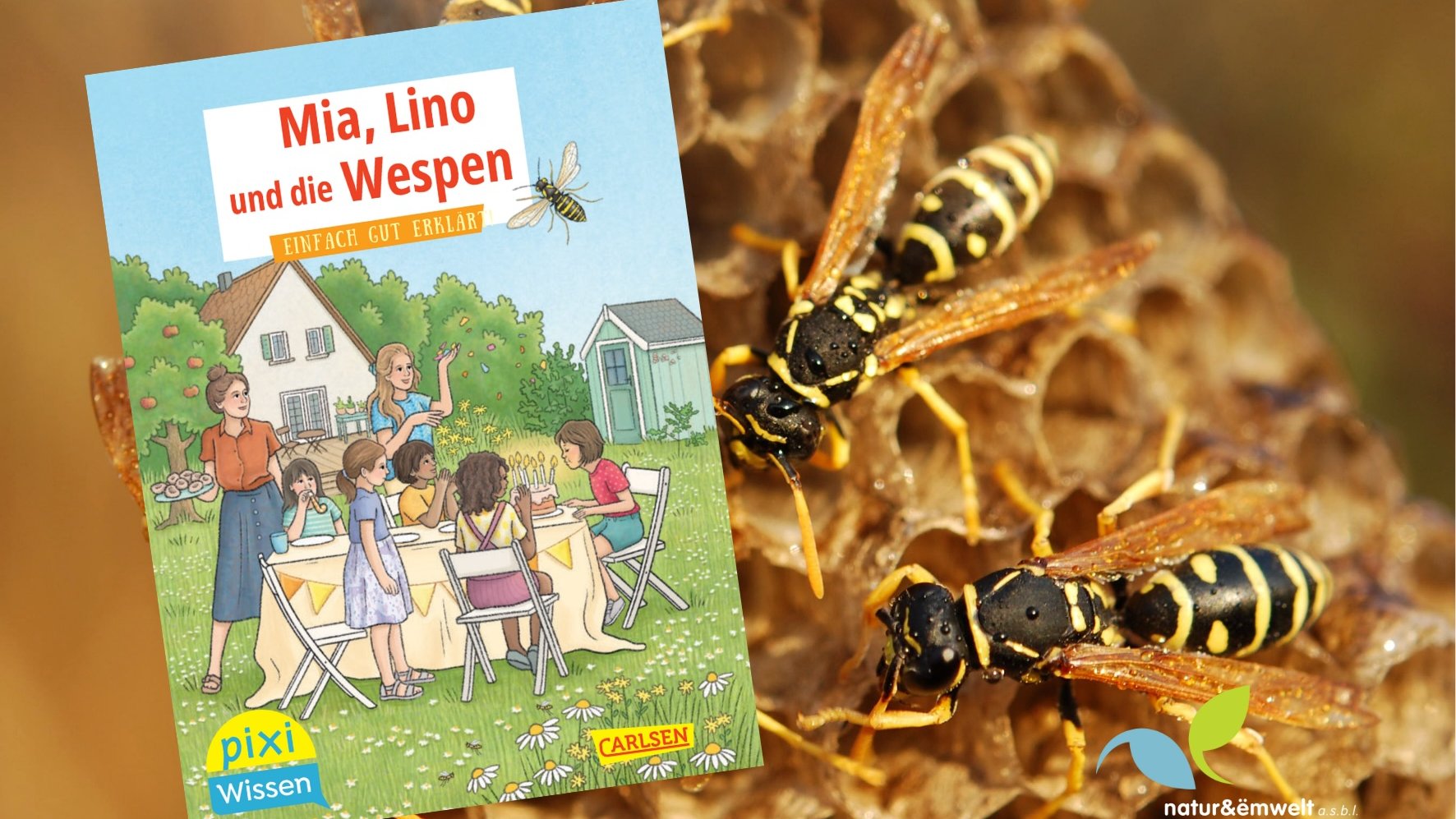 Comprendre les guêpes au lieu de les craindre : nouveau livre de natur&ëmwelt