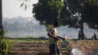 Bassin du Niger : soutenir une gestion coopérative des ressources hydrauliques