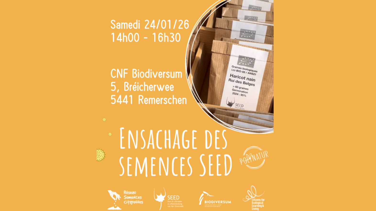 Mise en sachets de semences SEED