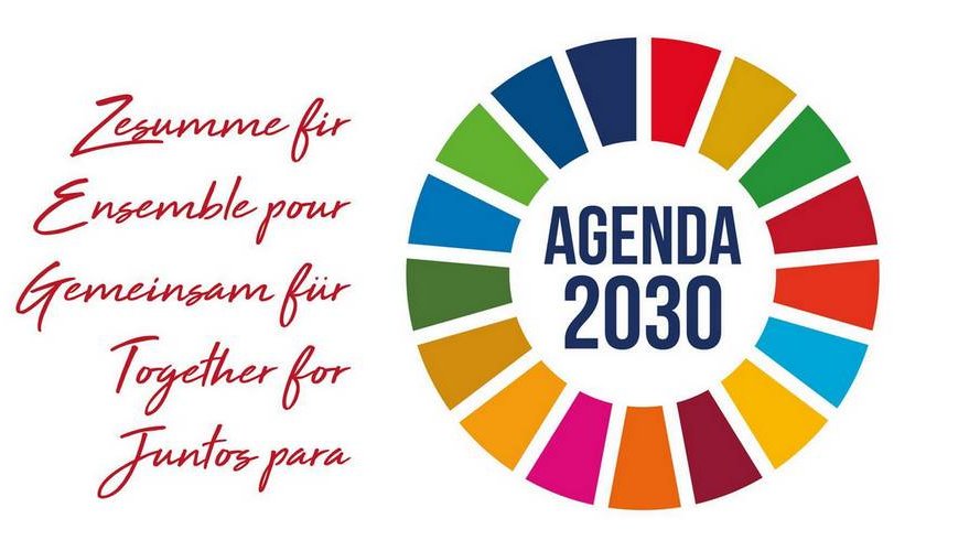 Sustainability manager club - mise en pratique des 17 ODDs en entreprise