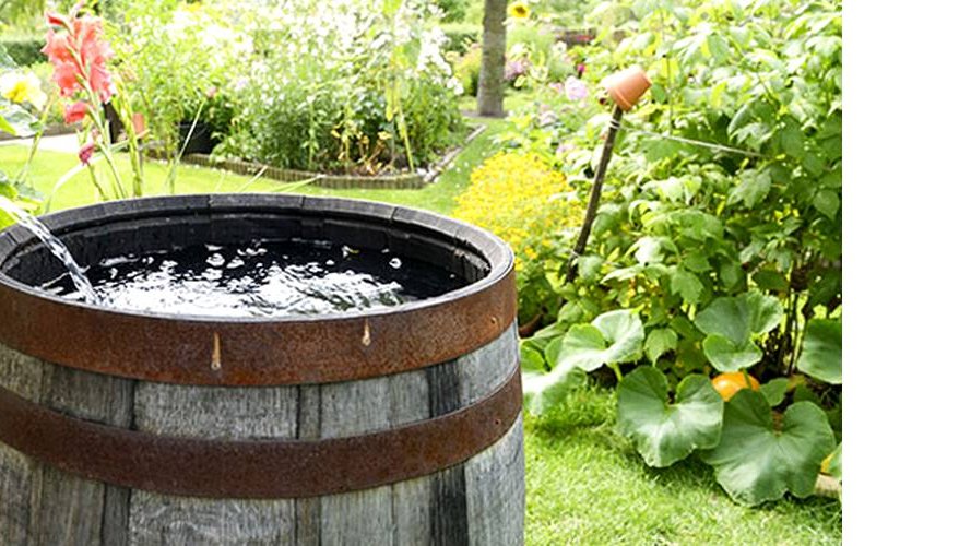L'eau de pluie de la Terre : une pollution globale !