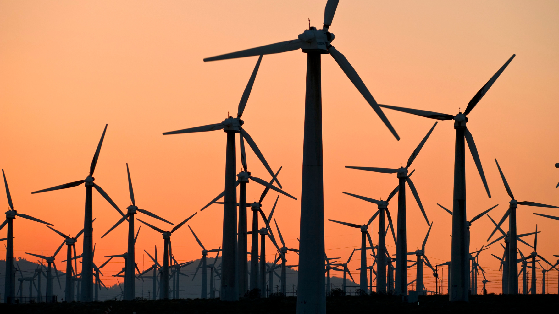 Product Discovery : un nouvel outil qui vous aide à faire des économies