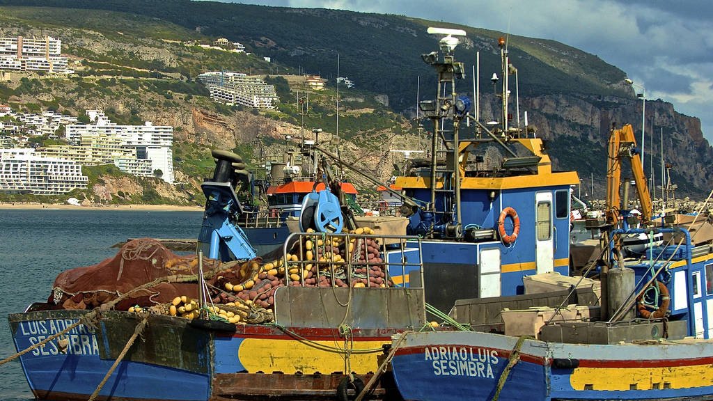 L'UE accepte la réforme européenne de la pêche