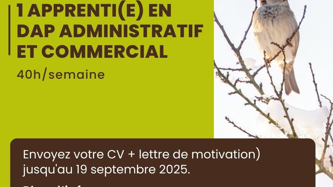 Apprenti en DAP Administratif et commercial (m/f/d) / natur&ëmwelt