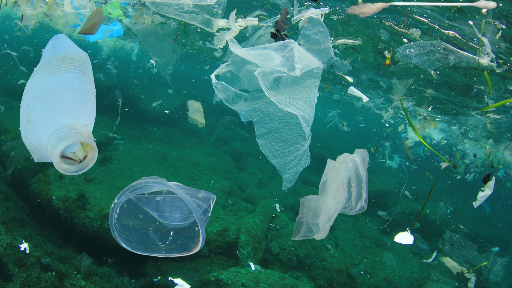 Participez à Plastic Free July : réduisez votre consommation de plastique