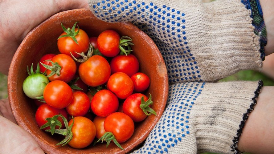 Reconnaître l'alimentation comme un Bien commun