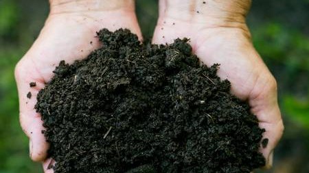 Un travail, des valeurs