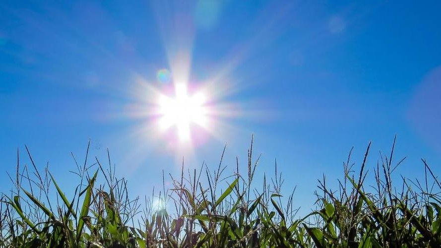 Canicule ou température extrême ?