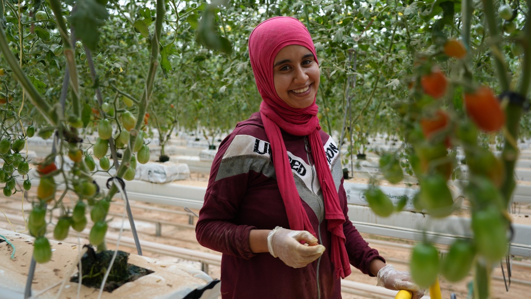 Fairtrade en Tunisie : des tomates cerises qui cultivent le bien-être