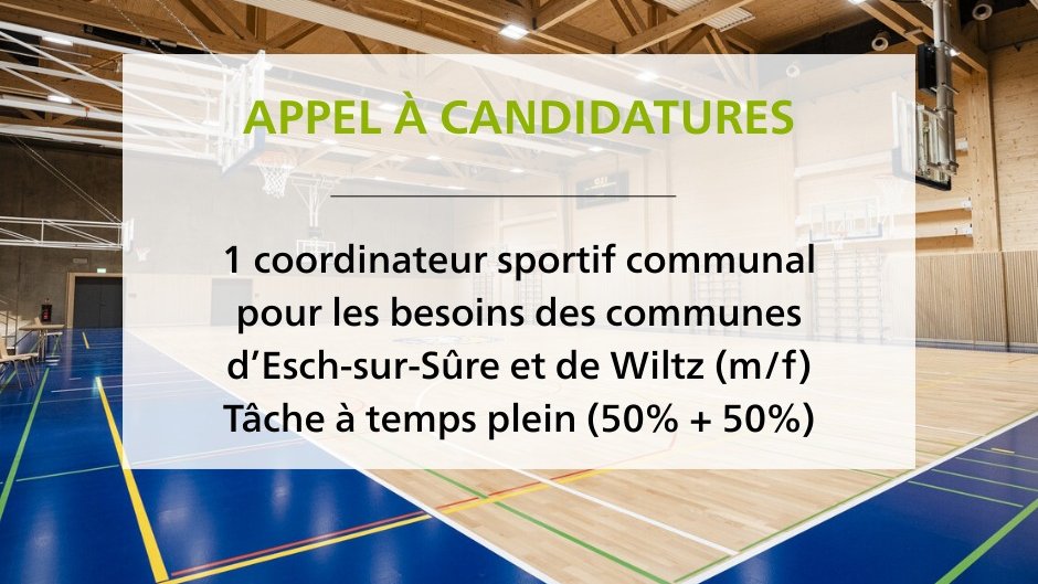 Coordinateur sportif communal (M/F)