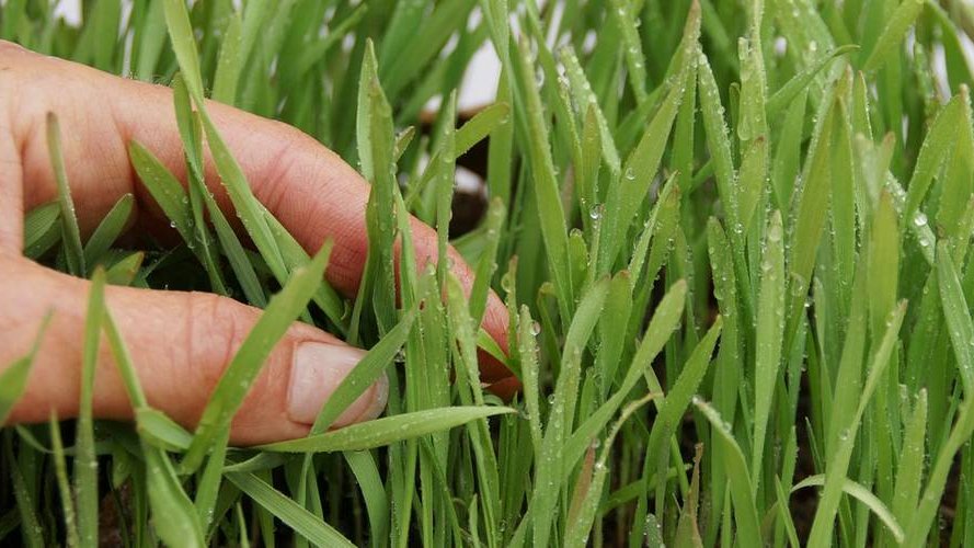 LUXPLAN S.A. membre du groupe L.S.C. Engineering Group recrute !