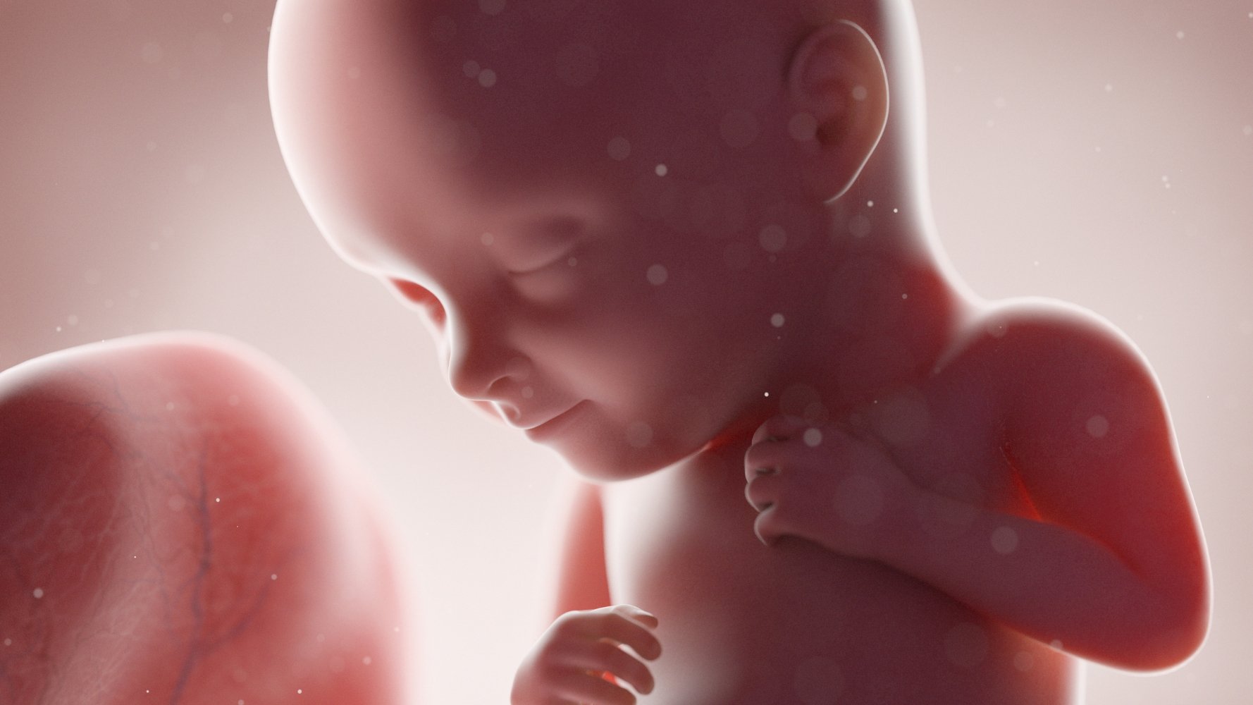 70 substances chimiques par jour : un danger invisible pour les enfants