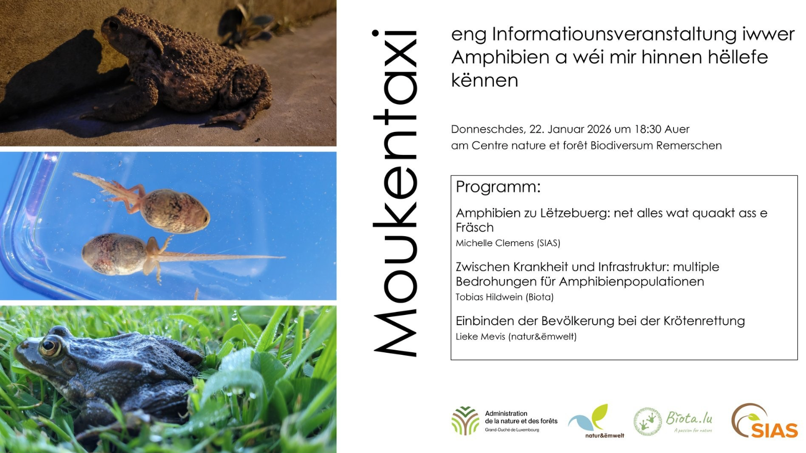 Moukentaxi - Een Info-Owend iwwer Amphibien a wéi mir hinnen hëllefe kennen