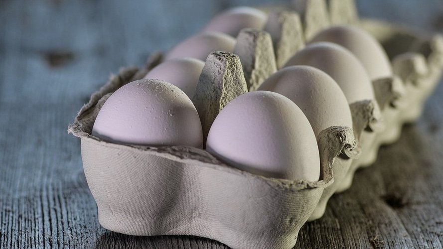 Visitez avec NATURATA la ferme biodynamique « Meyers-Haff »