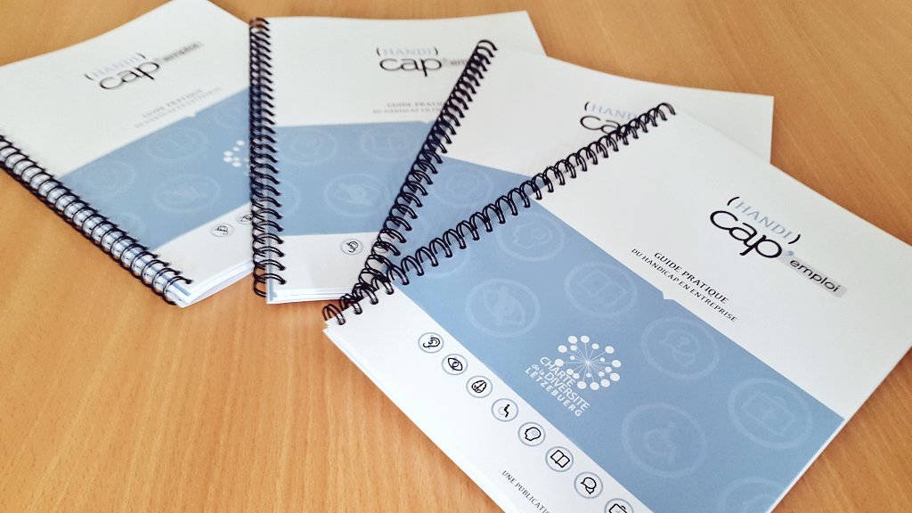 IMS lance le 1er guide pour favoriser l'emploi des personnes en situation de handicap