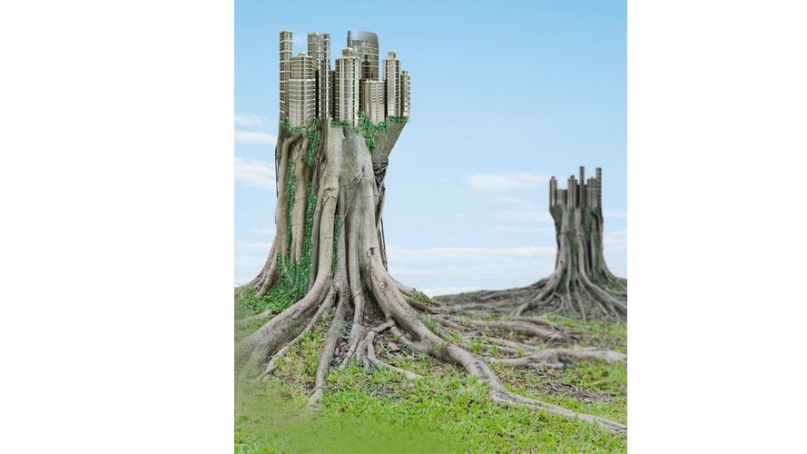 Biomimétisme – Biomimicry : How to push buildings to a step further ?