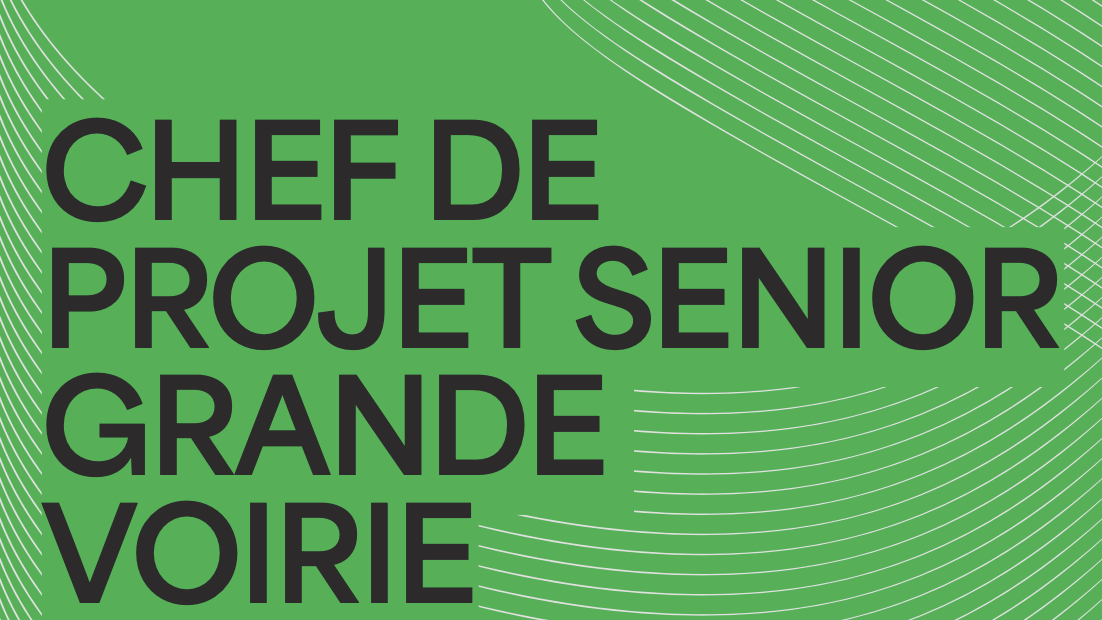 Chef de projet Senior - Grande Voirie (h/f/d) / LSC360