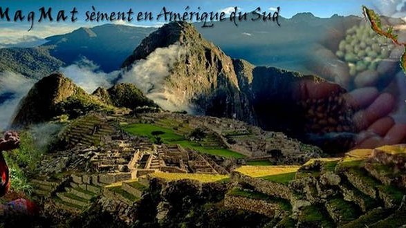 Pacha MagMat sèment en Amérique du Sud…