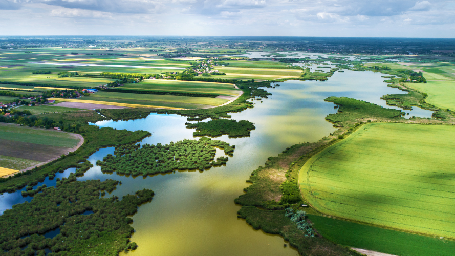 Loi sur la restauration de la nature : ça passe… mais tout juste