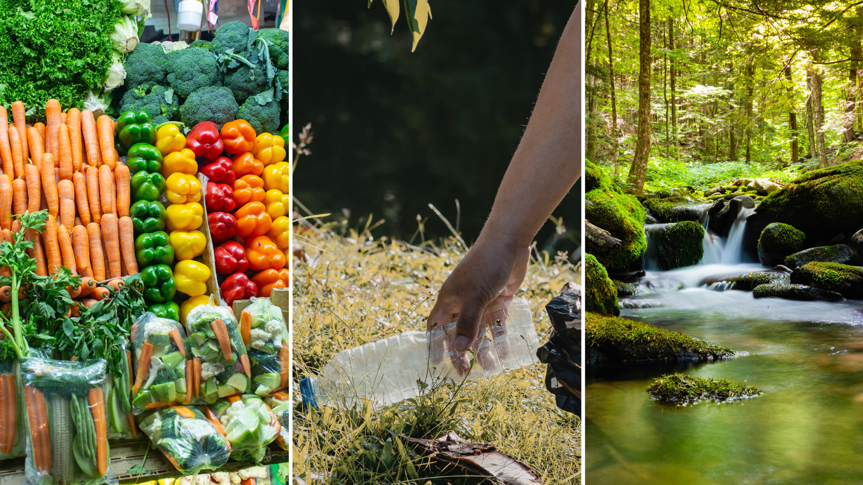 Les événements à ne pas manquer ce week-end - 28 et 29 mars