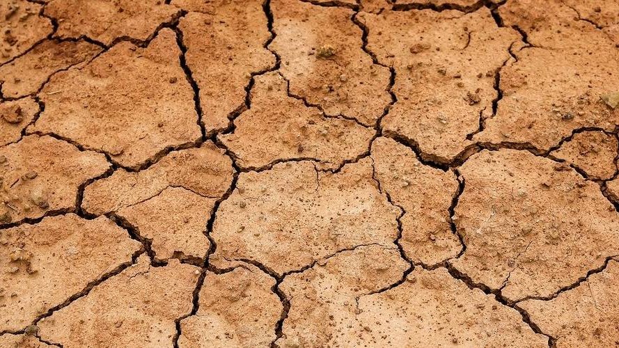 Meteorologische Analyse 2020 : wärmstes Jahr seit 1838 und Trockenheit prägen die Landwirtschaft