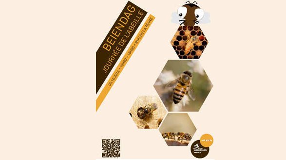 Un dernier dimanche à la rencontre des abeilles