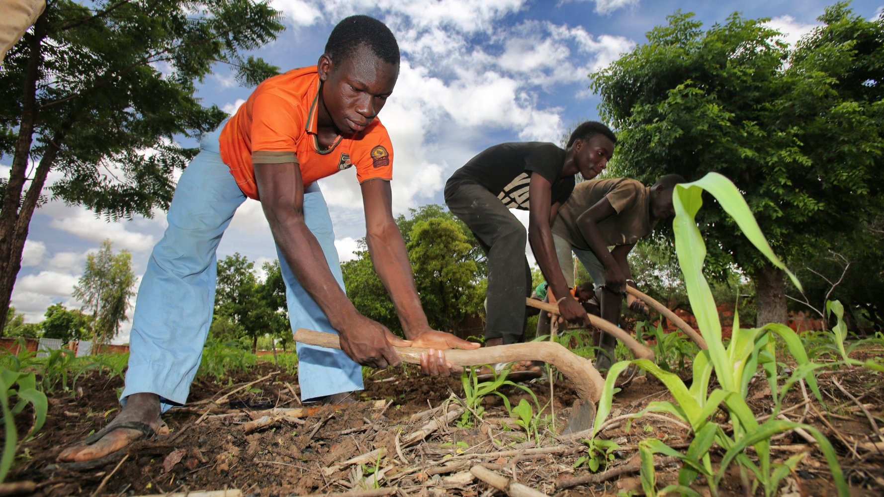 Quand cultiver son avenir devient possible