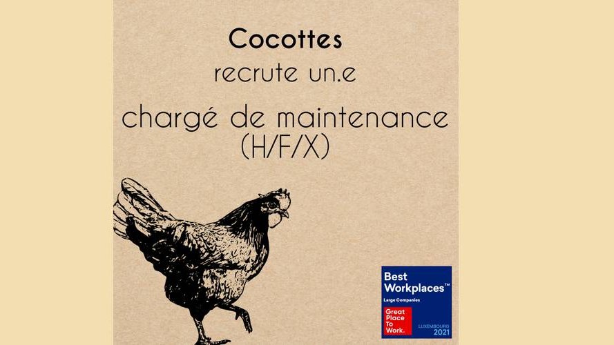 Cocottes recrute !